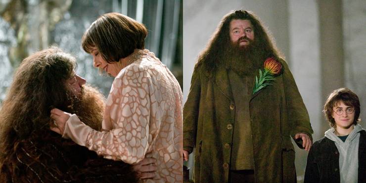 Harry Potter 10 Biggest Ways Hagrid Changed From Philosophers Stone To Deathly Hallows Harry Potter 10 Biggest Ways Hagrid Changed From Philosophers Stone To Deathly Hallows